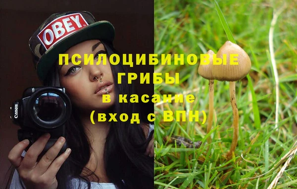 индика Семилуки