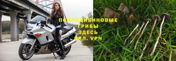 PSILOCYBIN Волоколамск