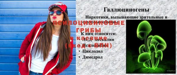 PSILOCYBIN Волоколамск
