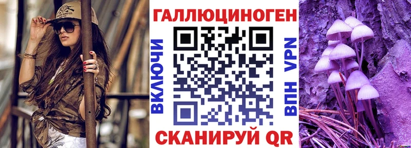 mega зеркало  Дегтярск  Галлюциногенные грибы Psilocybe 